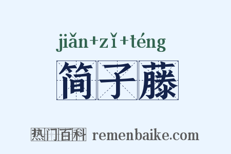 简子藤是什么意思的图片
